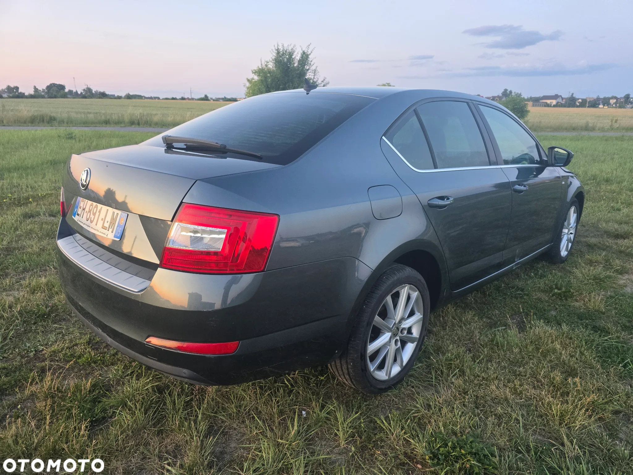 Skoda Octavia 1.6 TDI Edition - 4