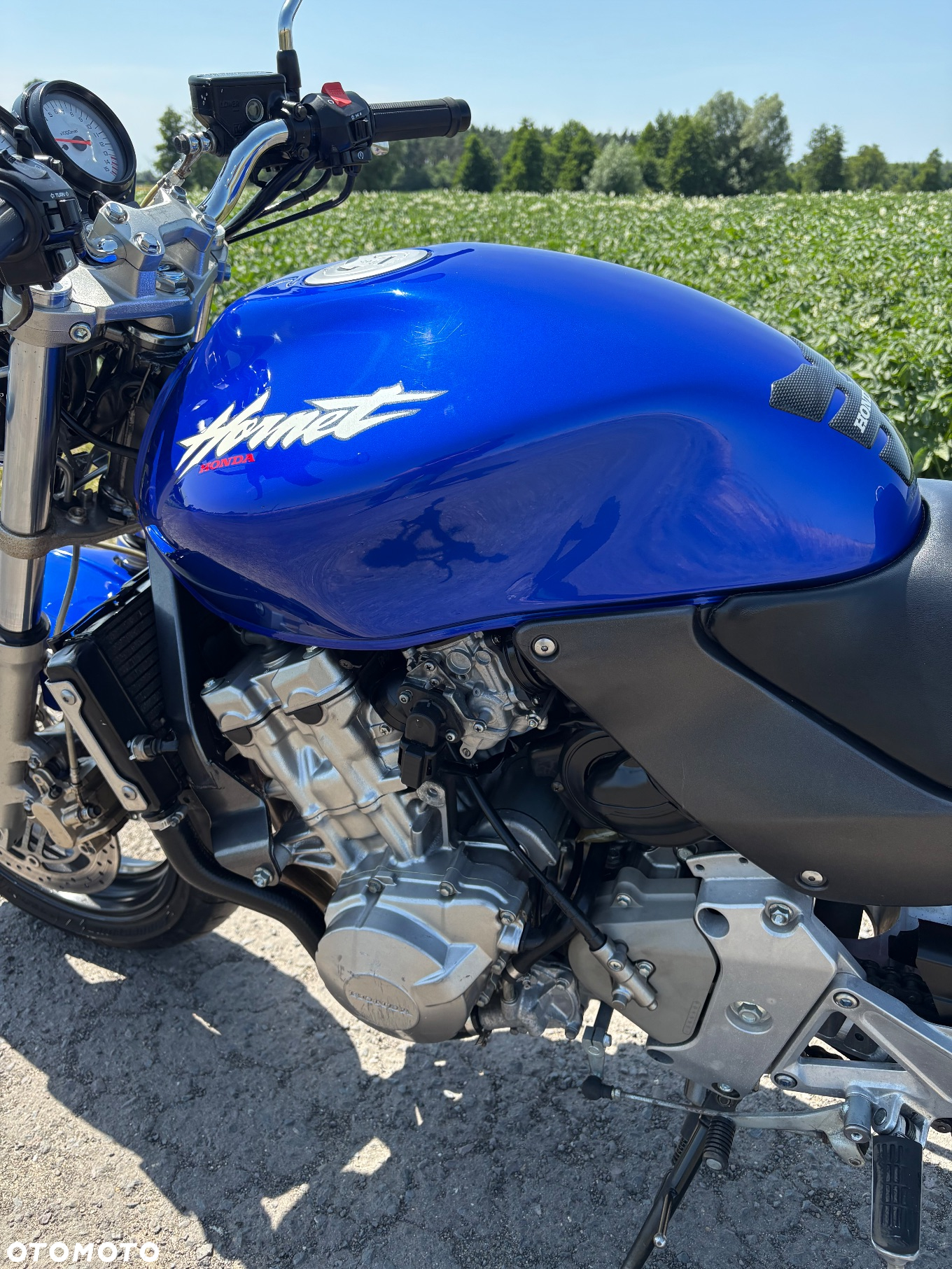 Honda Hornet - 20