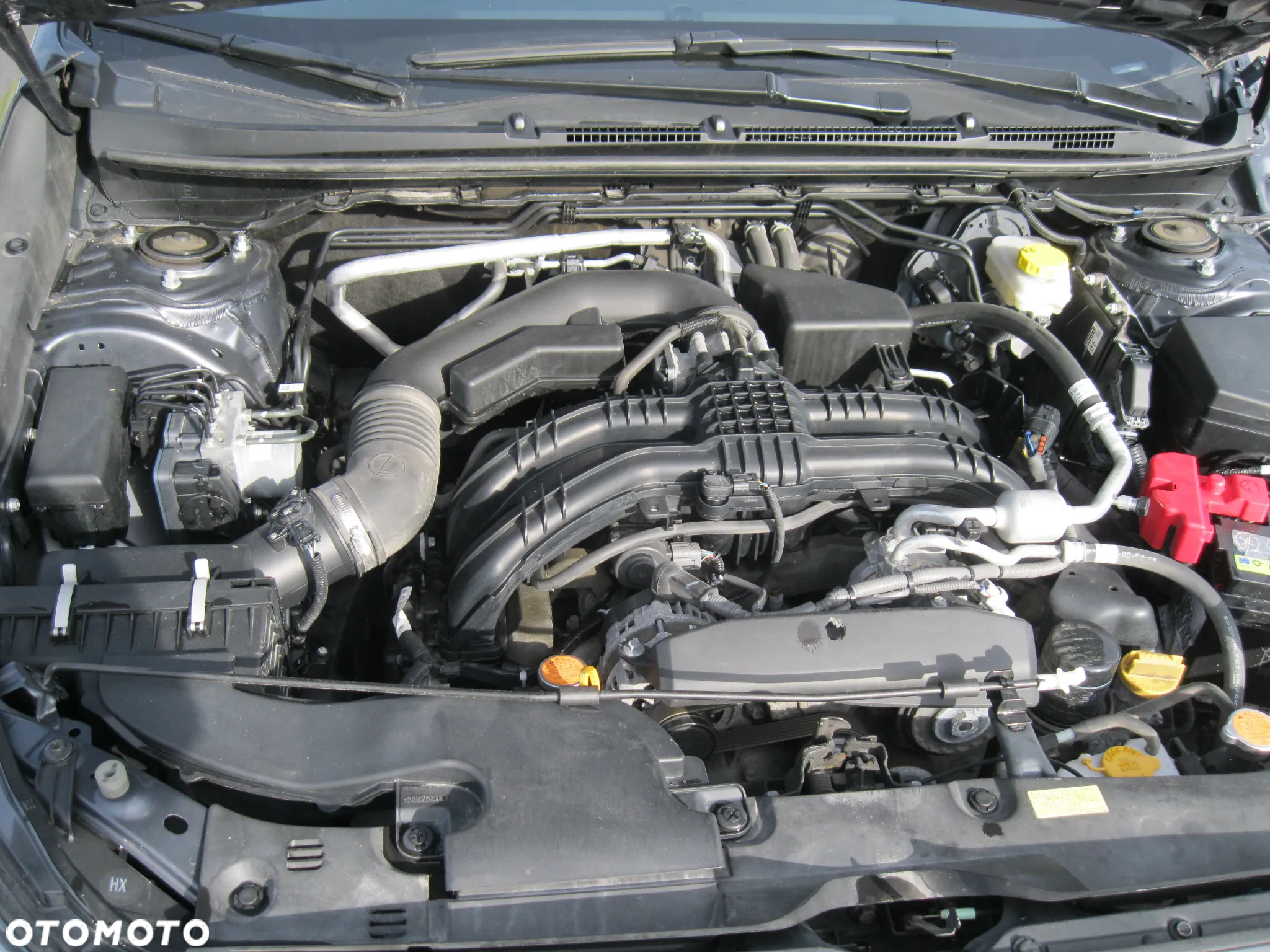 Subaru Crosstrek - 13
