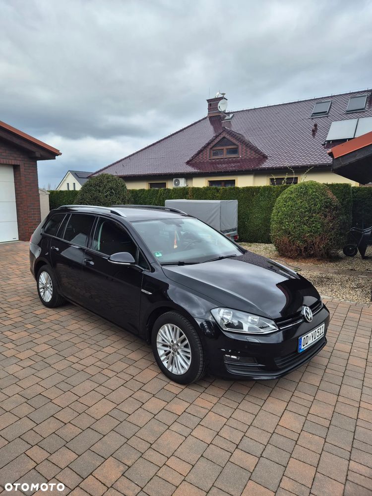 Volkswagen Golf 1.6 TDI BlueMotion Technology Cup - 12