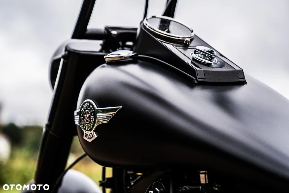 Harley-Davidson Softail Custom - 18