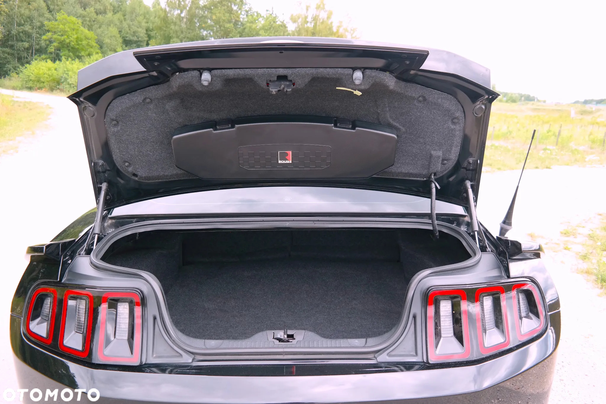 Ford Mustang 3.7 V6 - 18