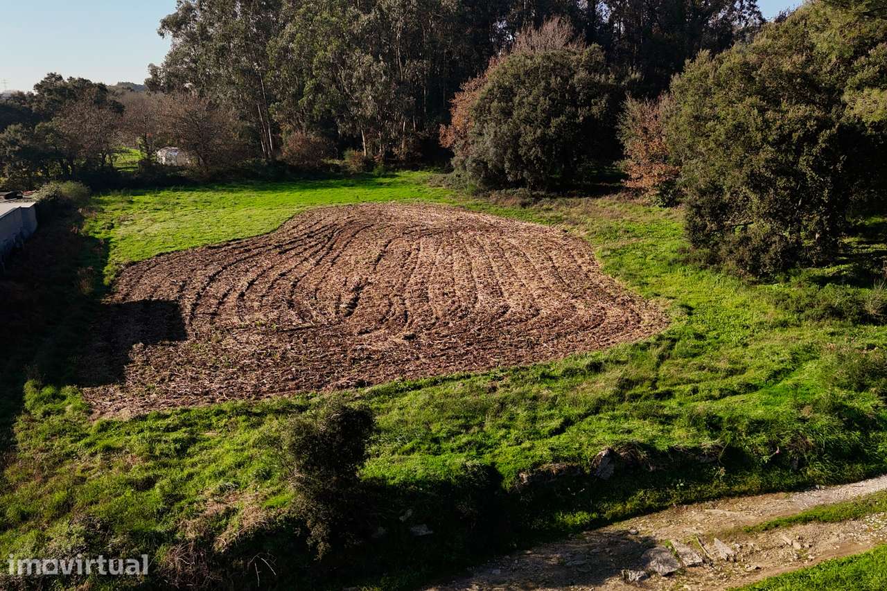 Terreno para construção em Galegos S. Martinho, Barcelos - Grande imagem: 3/13