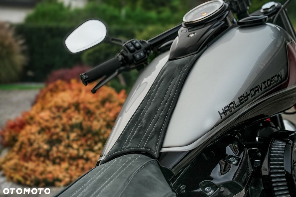 Harley-Davidson Softail Heritage Classic - 15