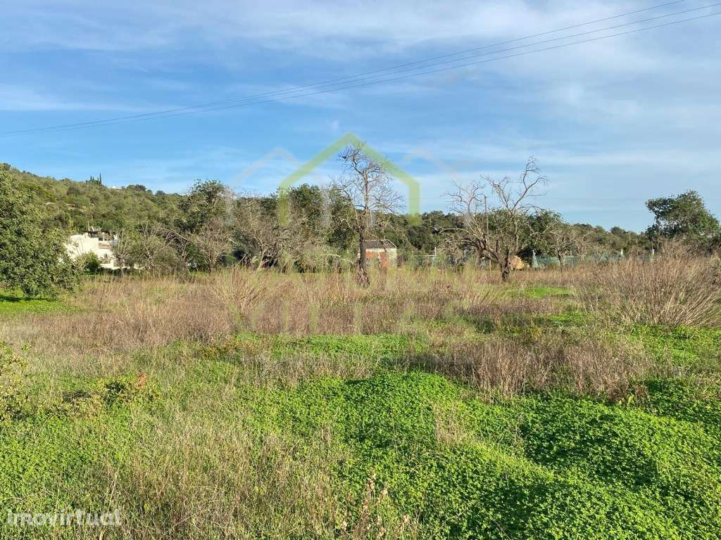 Moradia para Recuperar e Terreno em Alcaria Branca, Estoi - Grande imagem: 5/10
