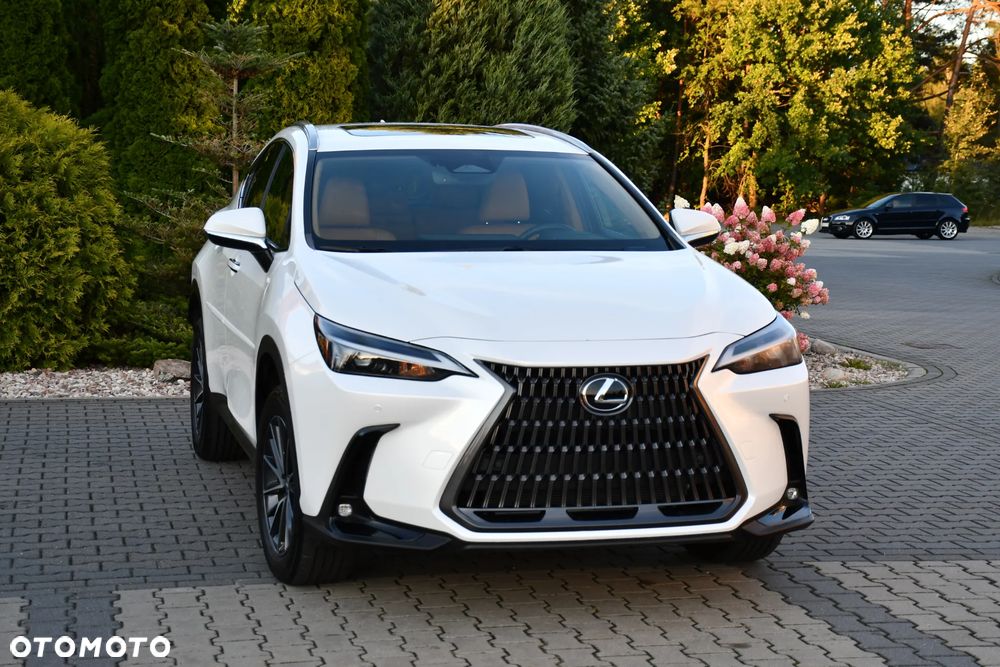 Lexus NX - 21