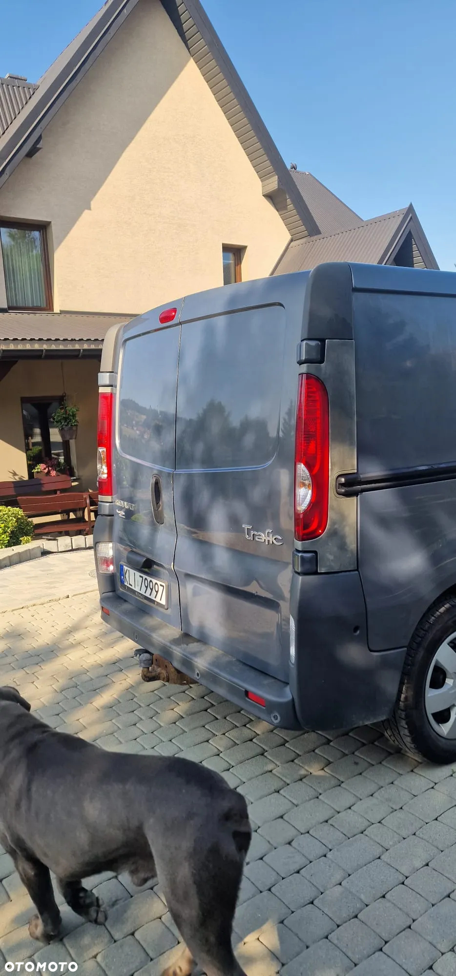 Renault Trafic - 14