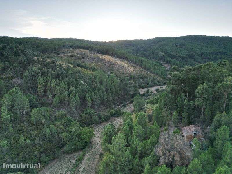 Terreno 80.000m2 - Grande imagem: 3/8