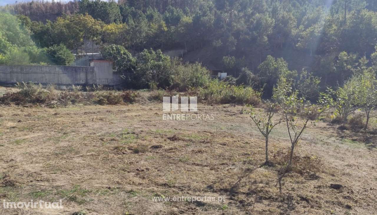 Venda Terreno, Tarouquela, Cinfães - Grande imagem: 3/23