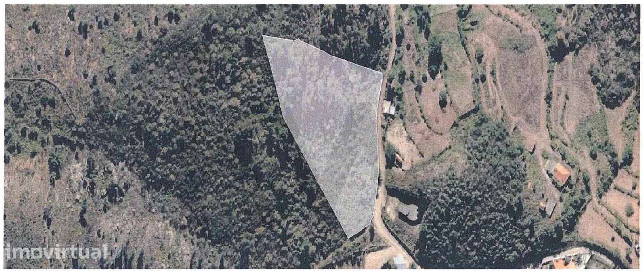 Quinta no Douro com (futura) habitação ou turismo, com quase 37 mil m2 - Grande imagem: 4/7