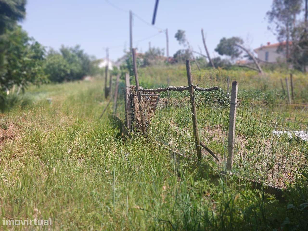 Terreno com 5.900 m² e Potencial de Construção entre a Marinha Grande - Grande imagem: 3/6