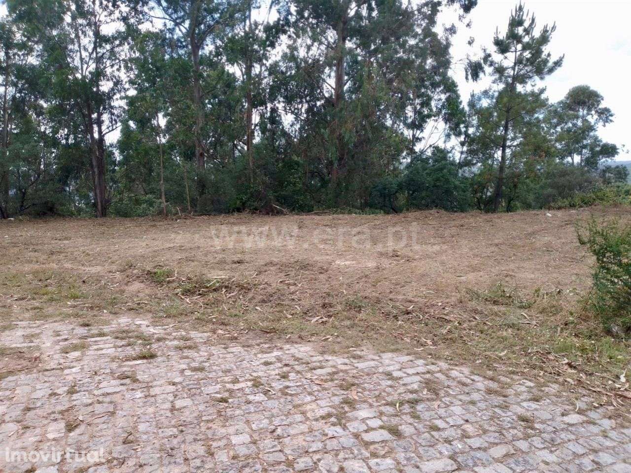 Terreno para construção em Rebordosa - Paredes - Grande imagem: 5/6