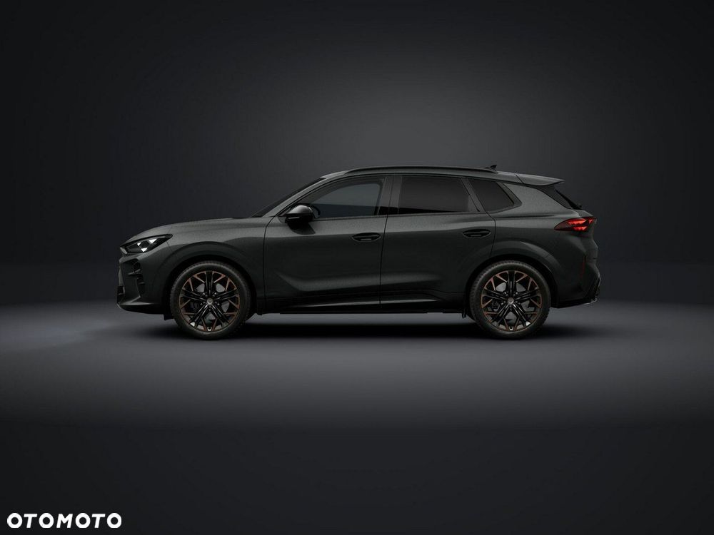 Cupra Terramar - 2