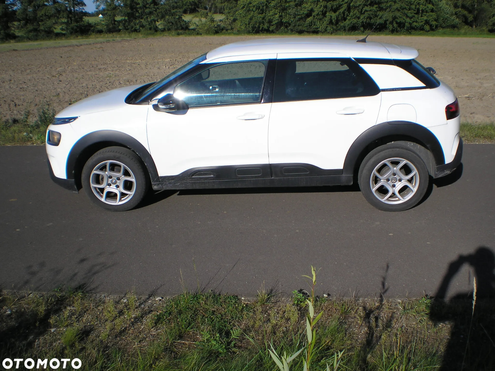 Citroën C4 Cactus 1.5 BlueHDi Feel - 7