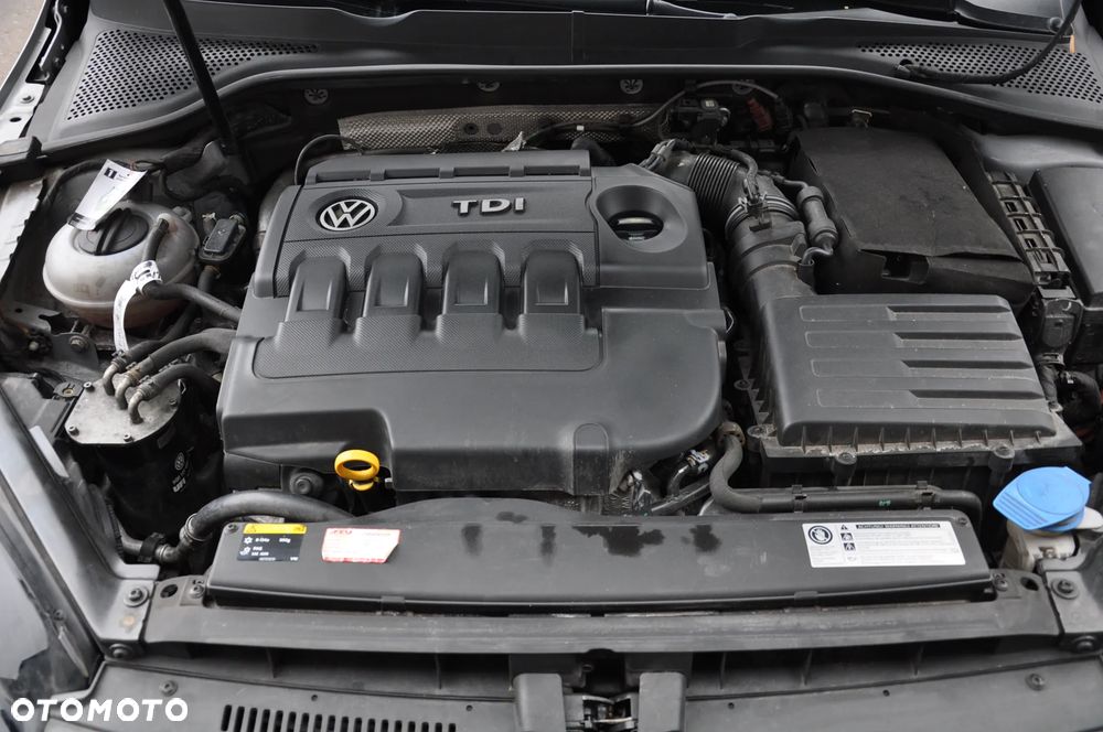 Volkswagen Golf Alltrack 2.0 TDI 4Motion (BMT) - 31