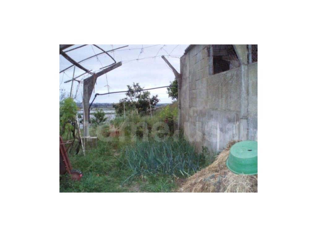 Terreno com 640 m2 - Grande imagem: 5/14