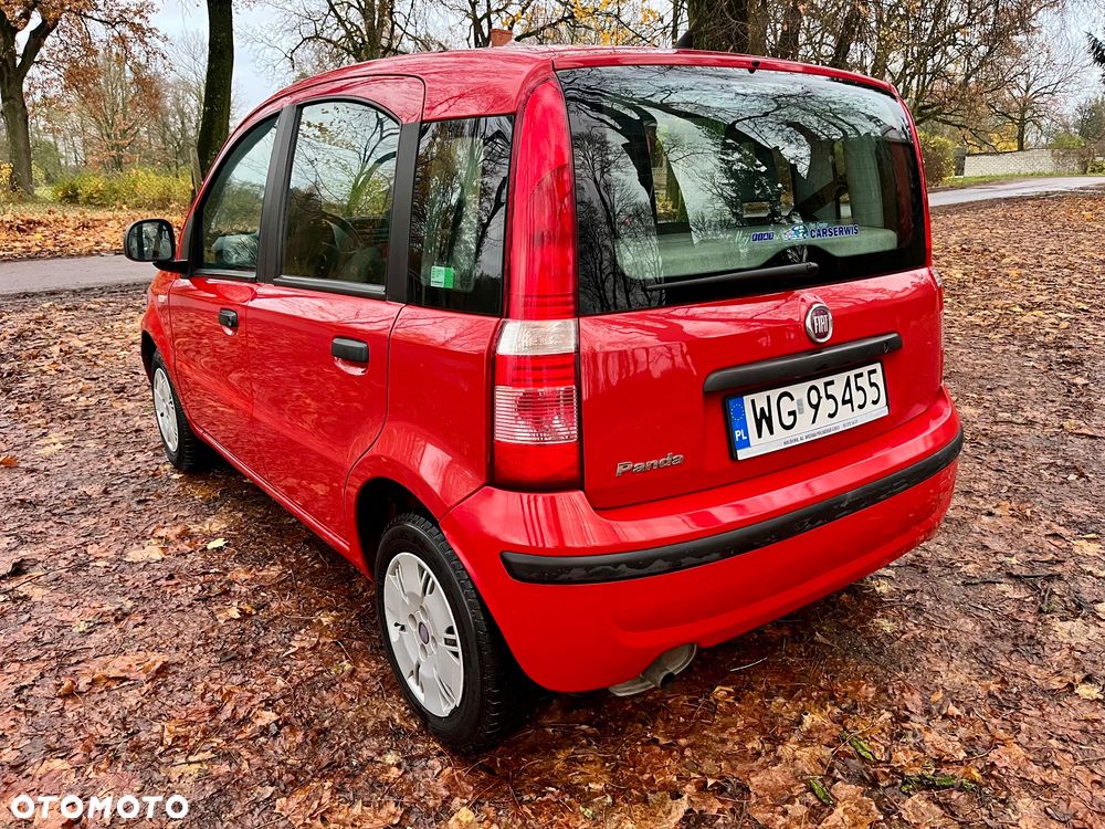 Fiat Panda 1.2 Active Eco - 5