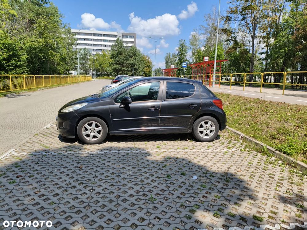Peugeot 207 - 14