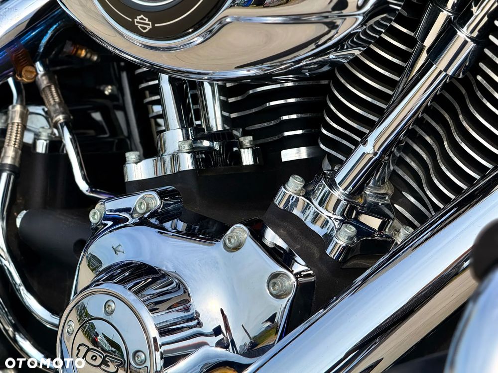Harley-Davidson Softail Heritage Classic - 20