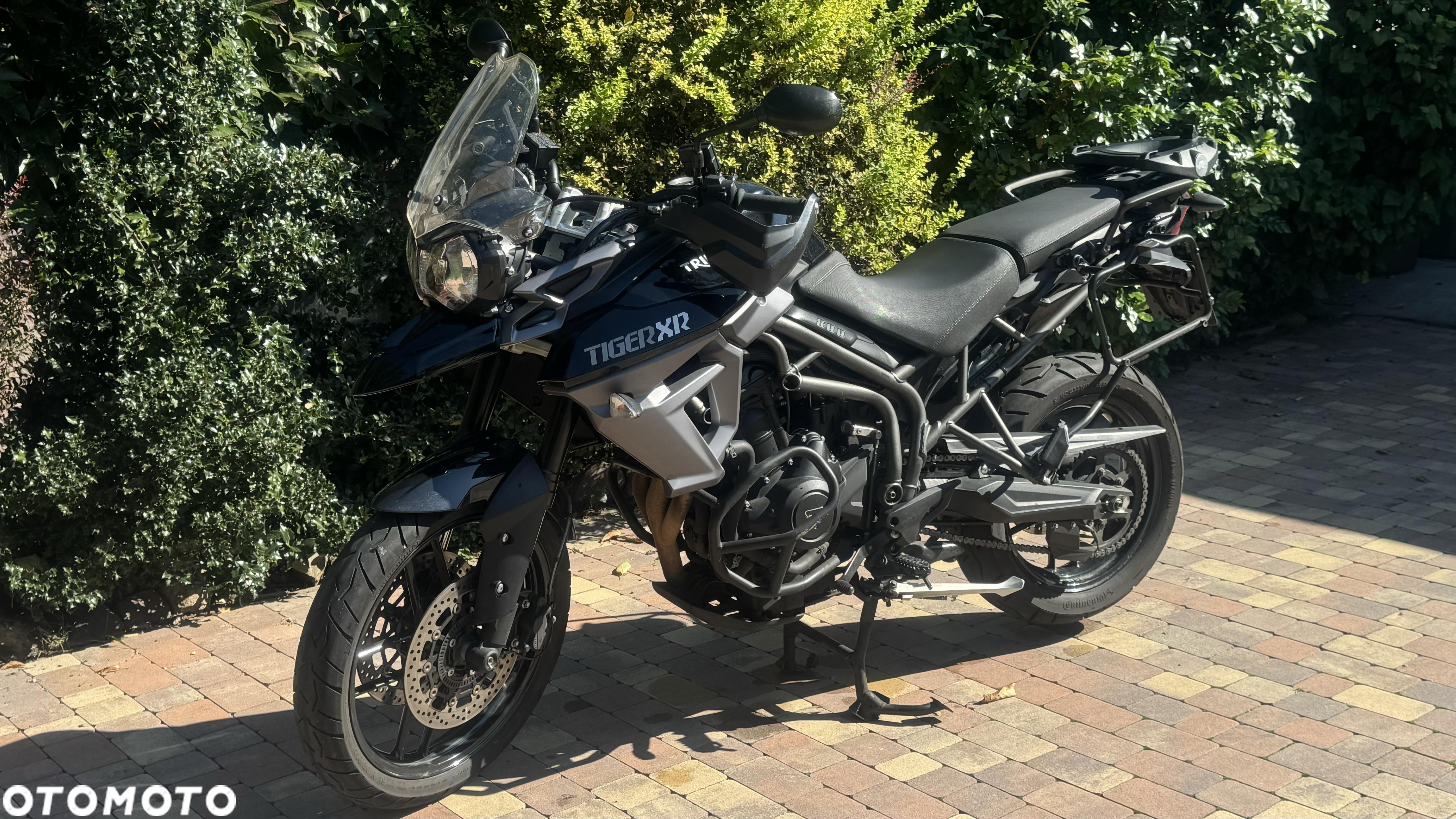 Triumph Tiger