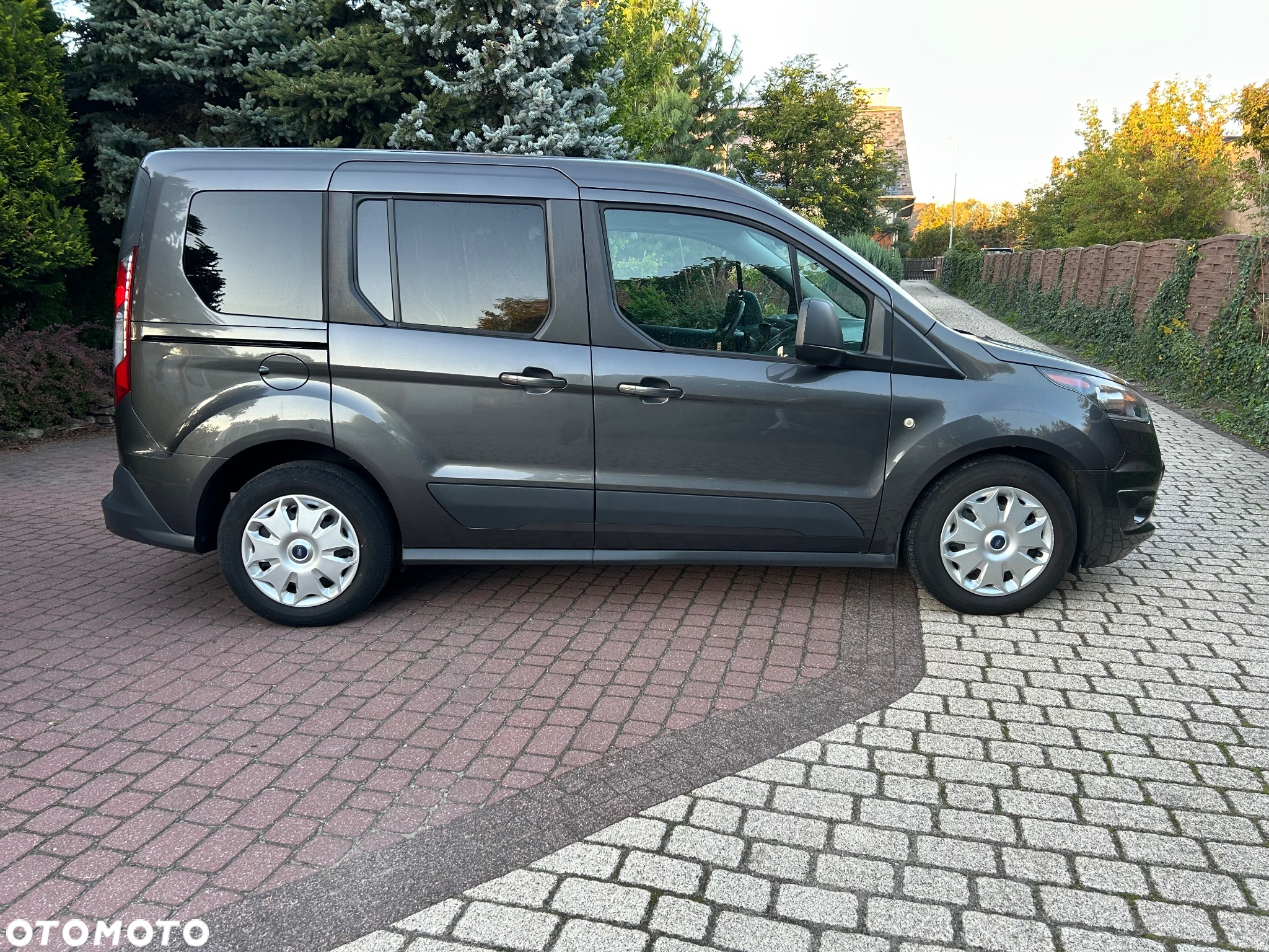 Ford Tourneo Connect - 21