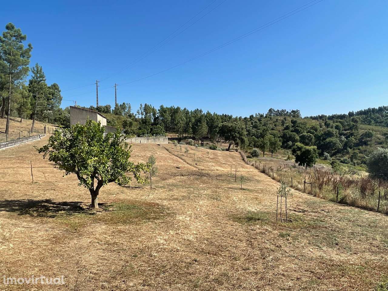 Terreno em Casal da Figueira, Martinchel - Grande imagem: 5/37