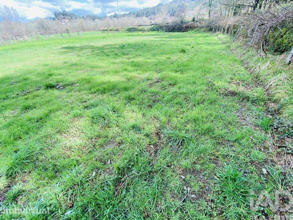 Terreno em Sapardos de 1460,00 m2 - Grande imagem: 3/10