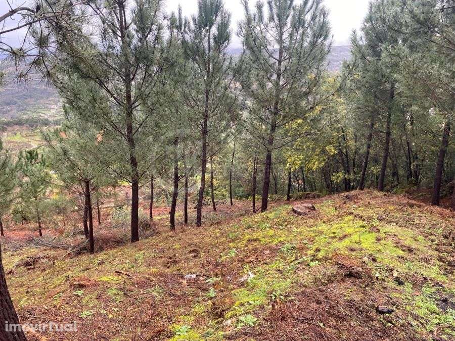 Parcela de Terreno em Paredes de Viadores - Grande imagem: 5/8