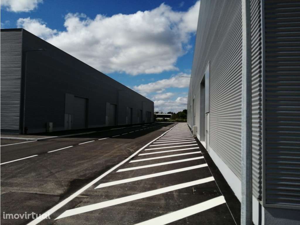Armazém para alugar na Maia, São Pedro Fins - Grande imagem: 3/19