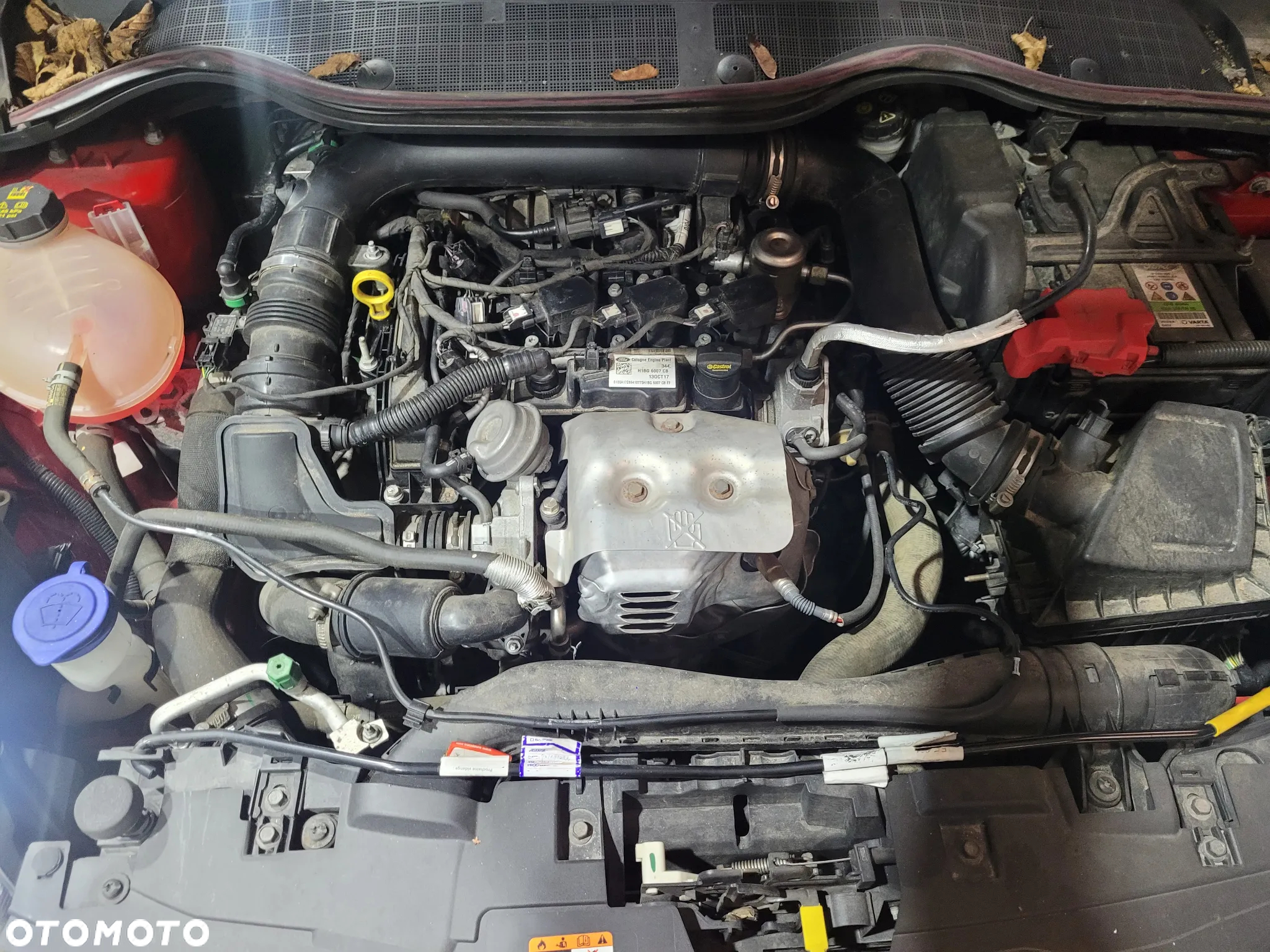 Ford Fiesta 1.0 EcoBoost S&S ACTIVE VIGNALE - 24