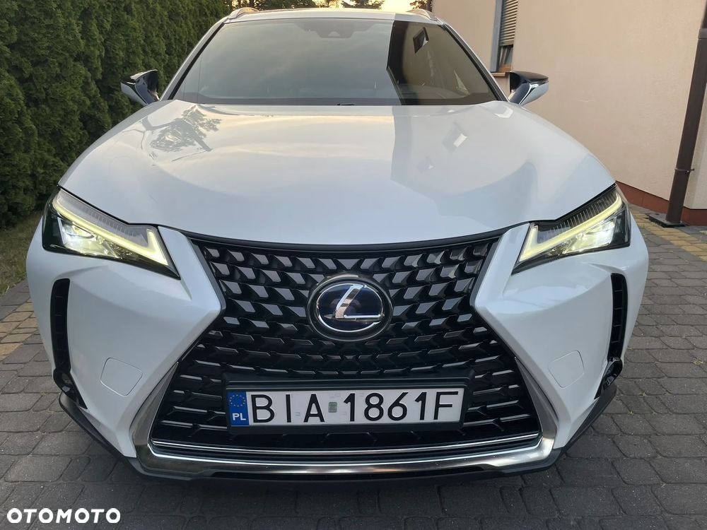 Lexus UX 250h F Sport 2WD - 2