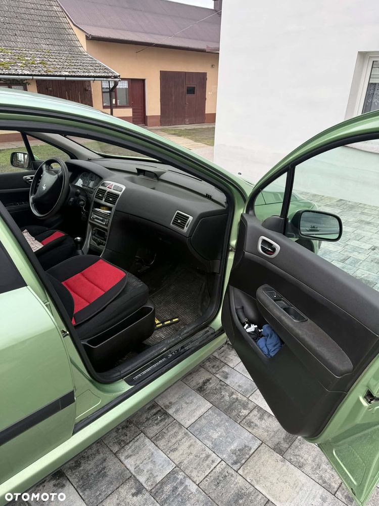 Peugeot 307 1.6 XS - 9