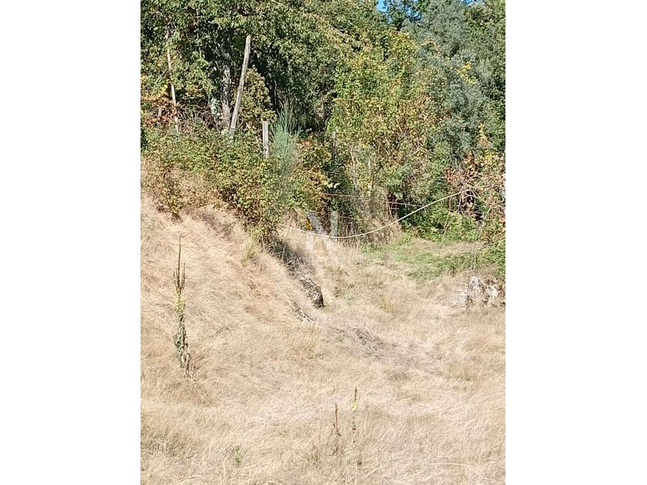 Terreno  Venda em Vade,Vila Verde - Grande imagem: 3/10