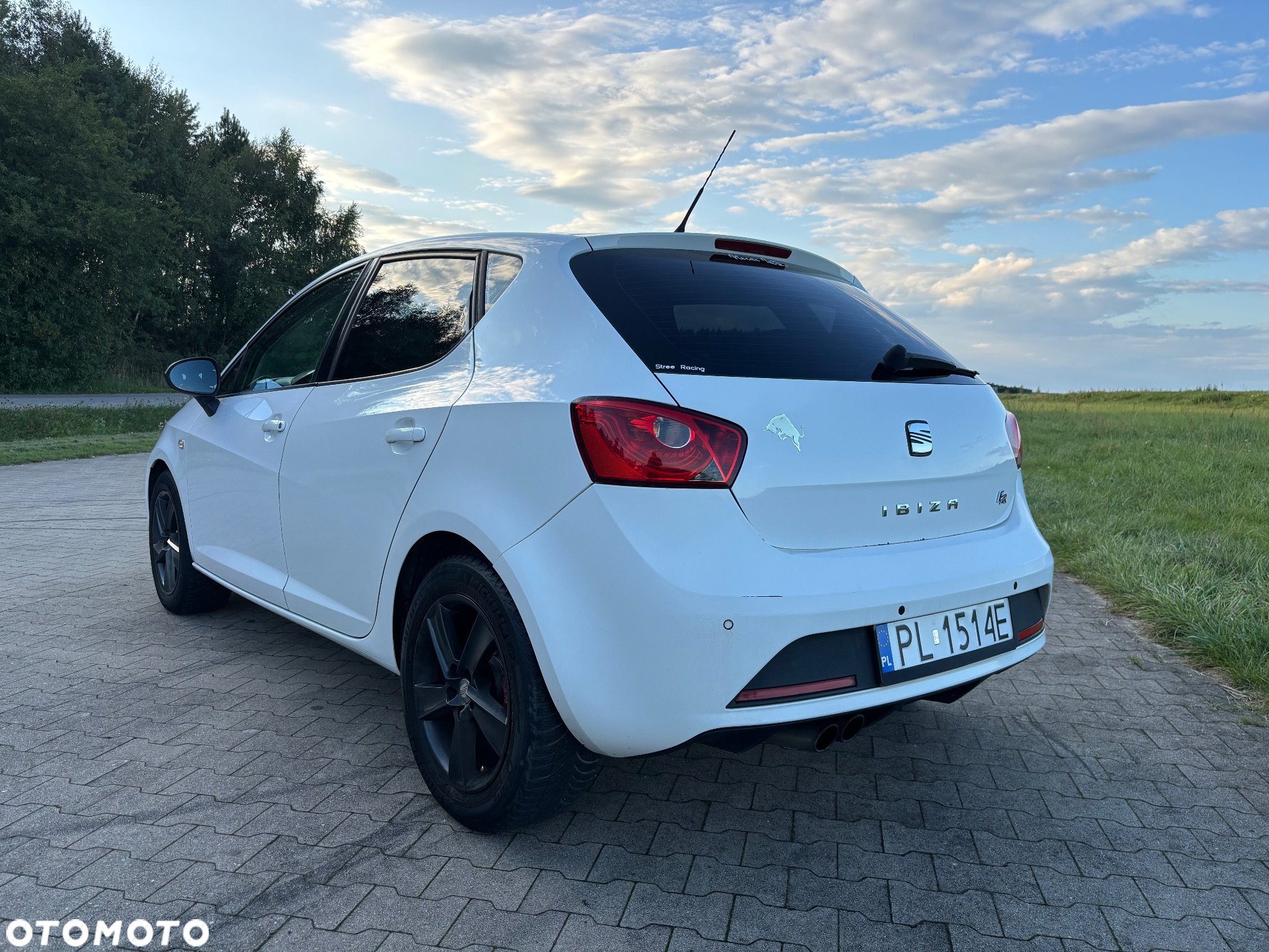 Seat Ibiza 2.0 TDI FR - 3