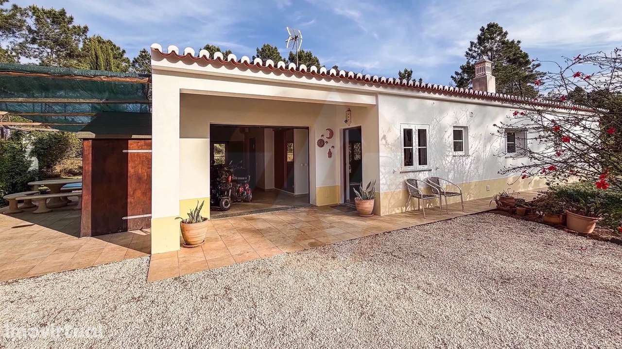 Quinta T3 com 1,8 ha a 15 min da Praia em Zona Tranquila - Grande imagem: 3/19