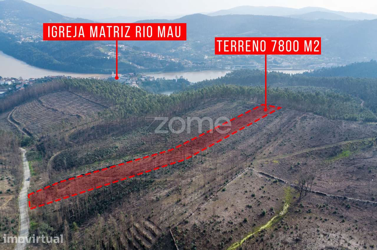 Terreno florestal urbanizável com 7.800 m2 - Rio Mau, Penafiel - Grande imagem: 5/9