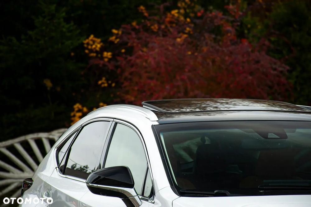 Lexus NX 300 AWD Executive Line - 14