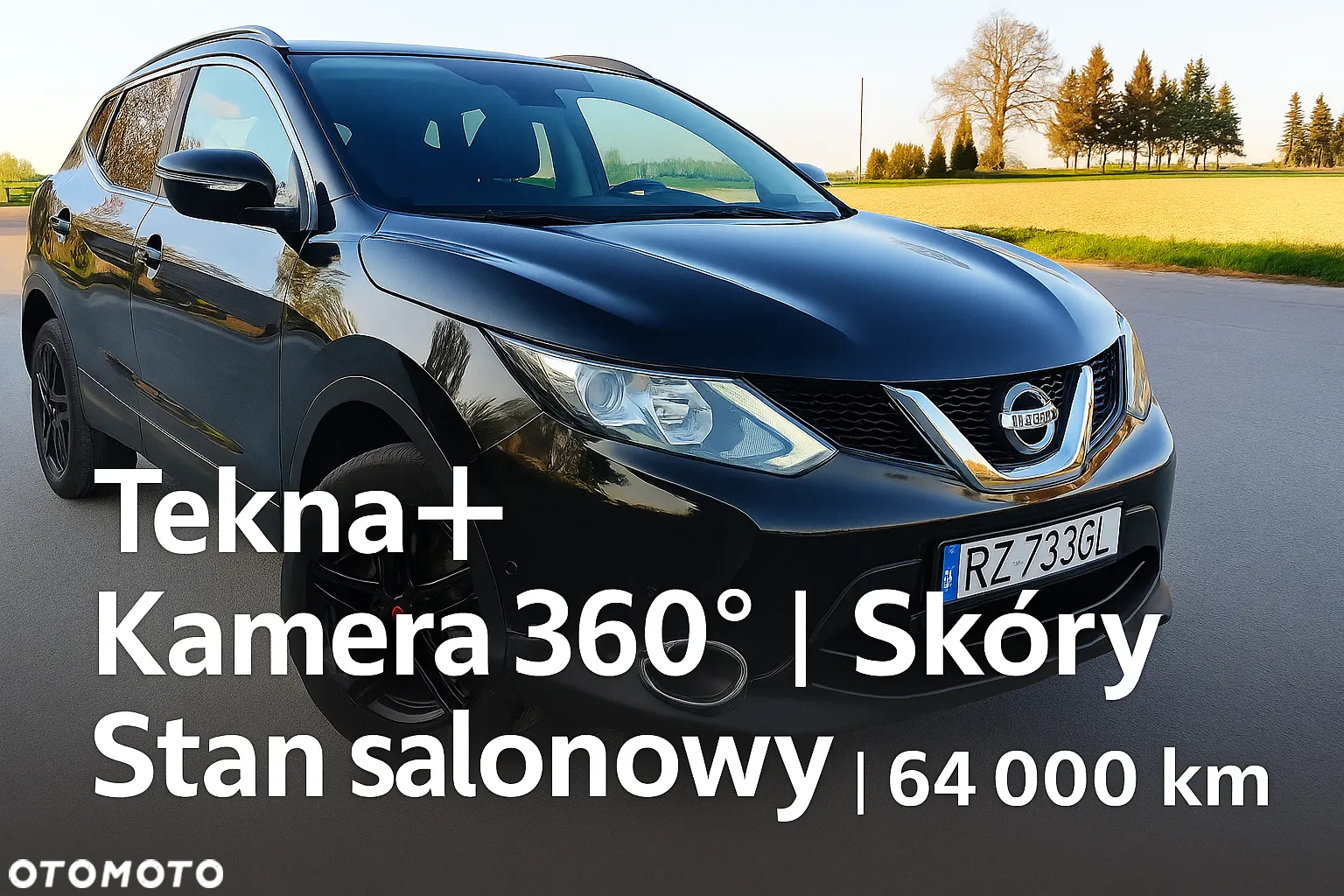 Nissan Qashqai 1.6 DCi 4x4 Tekna+ - 2