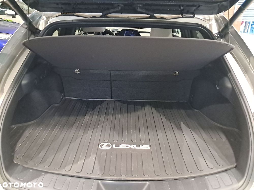 Lexus UX 250h GPF F Sport Design 2WD - 11