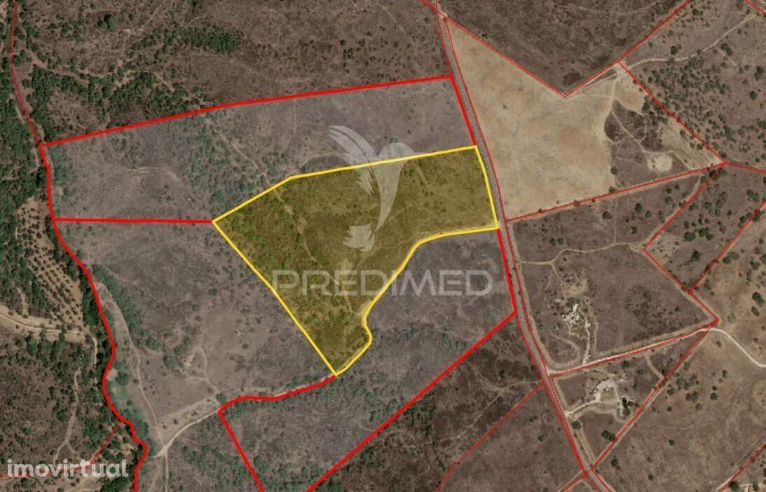 Grandola / Terreno Rustico com 8.5 hectares - Grande imagem: 2/19