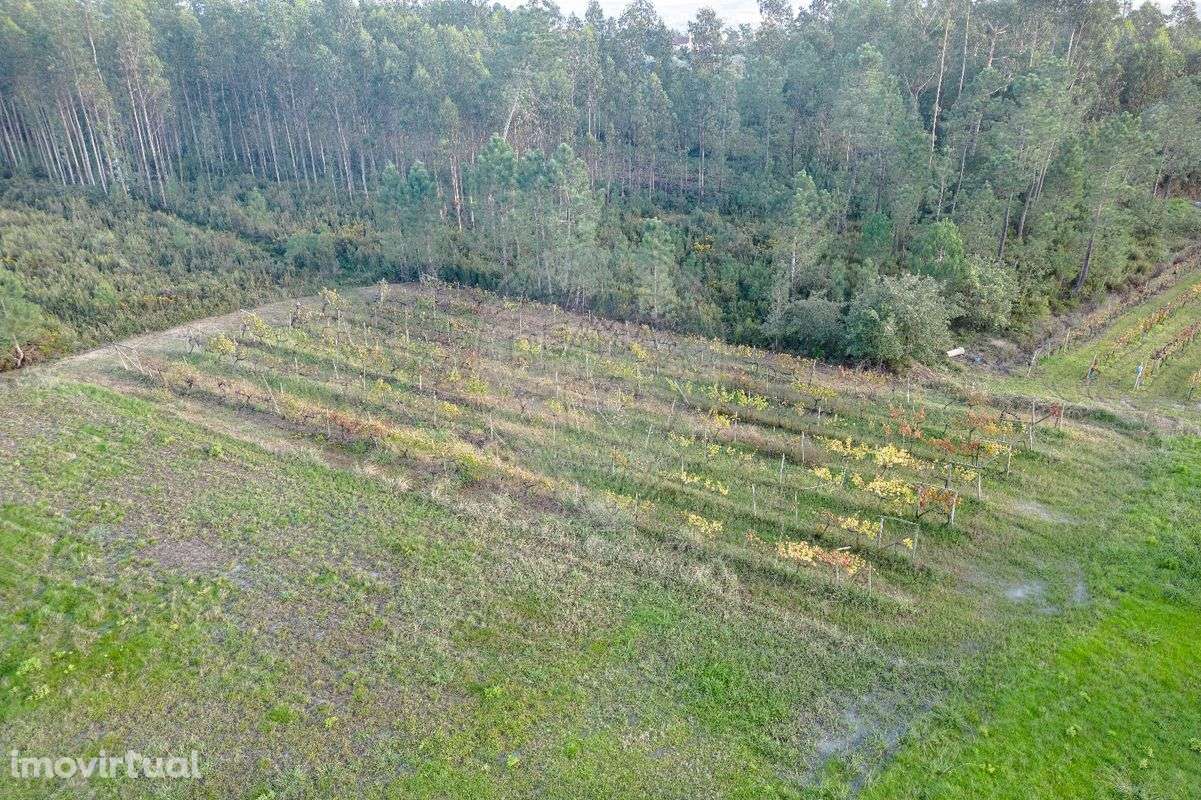 Terreno  para venda - Grande imagem: 4/13