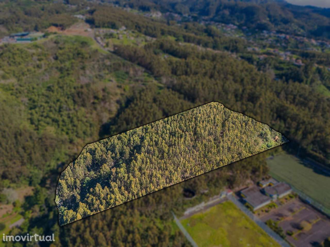 Terreno na Camacha de 24.430m2 - Grande imagem: 3/14