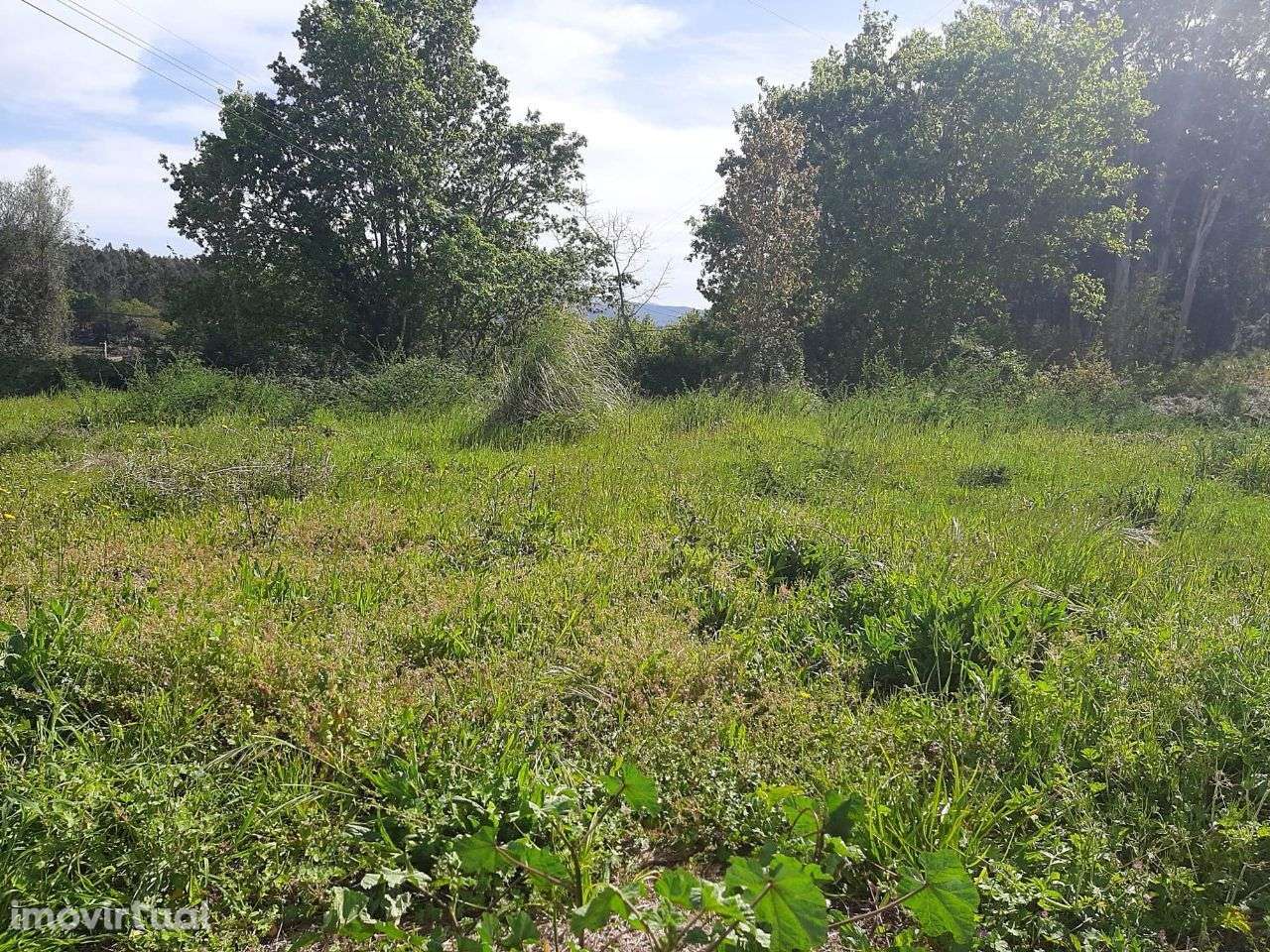 Arrenda Terreno Apróx. 3.000m2 Termas São Vicente Penafiel - Grande imagem: 5/8