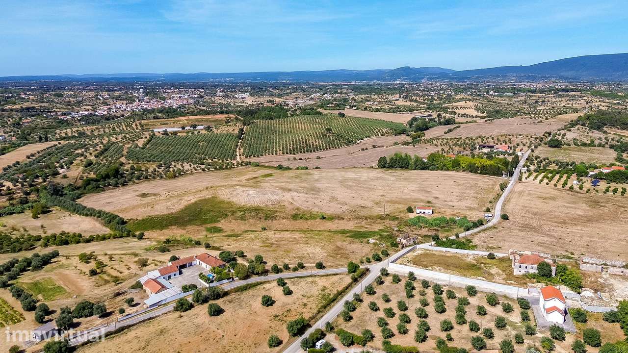 Terreno em Vale Carvão-Carril-Torres Novas | 15,88 Hectares - Grande imagem: 4/17