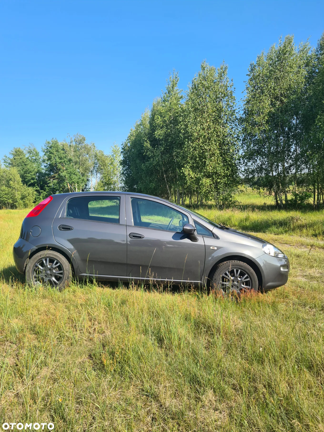 Fiat Punto - 4