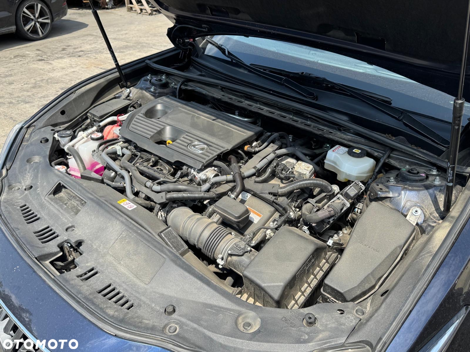 Lexus ES 300h Business Edition + - 14