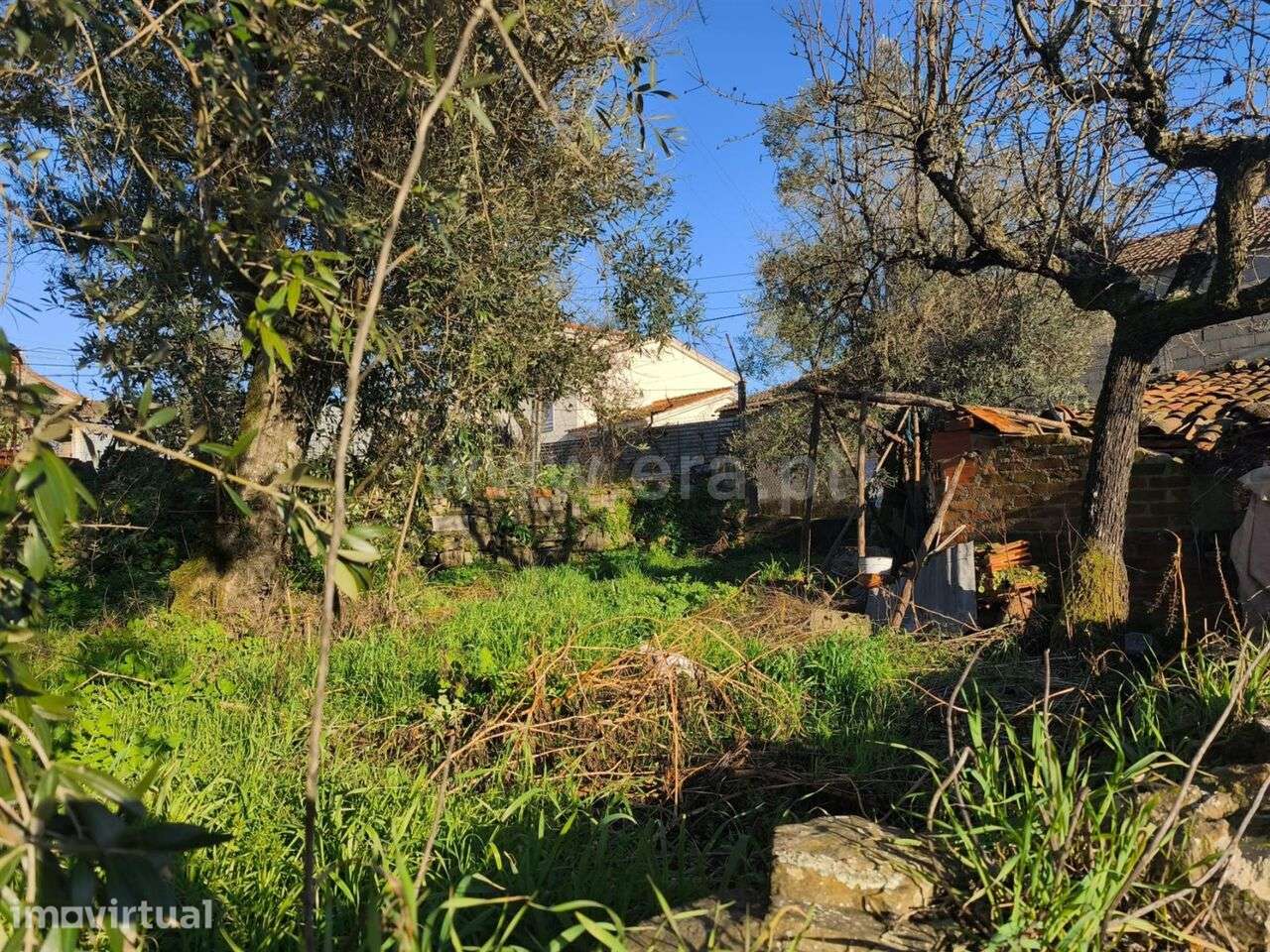 Terreno / Covilhã, Peso e Vales do Rio - Grande imagem: 2/3