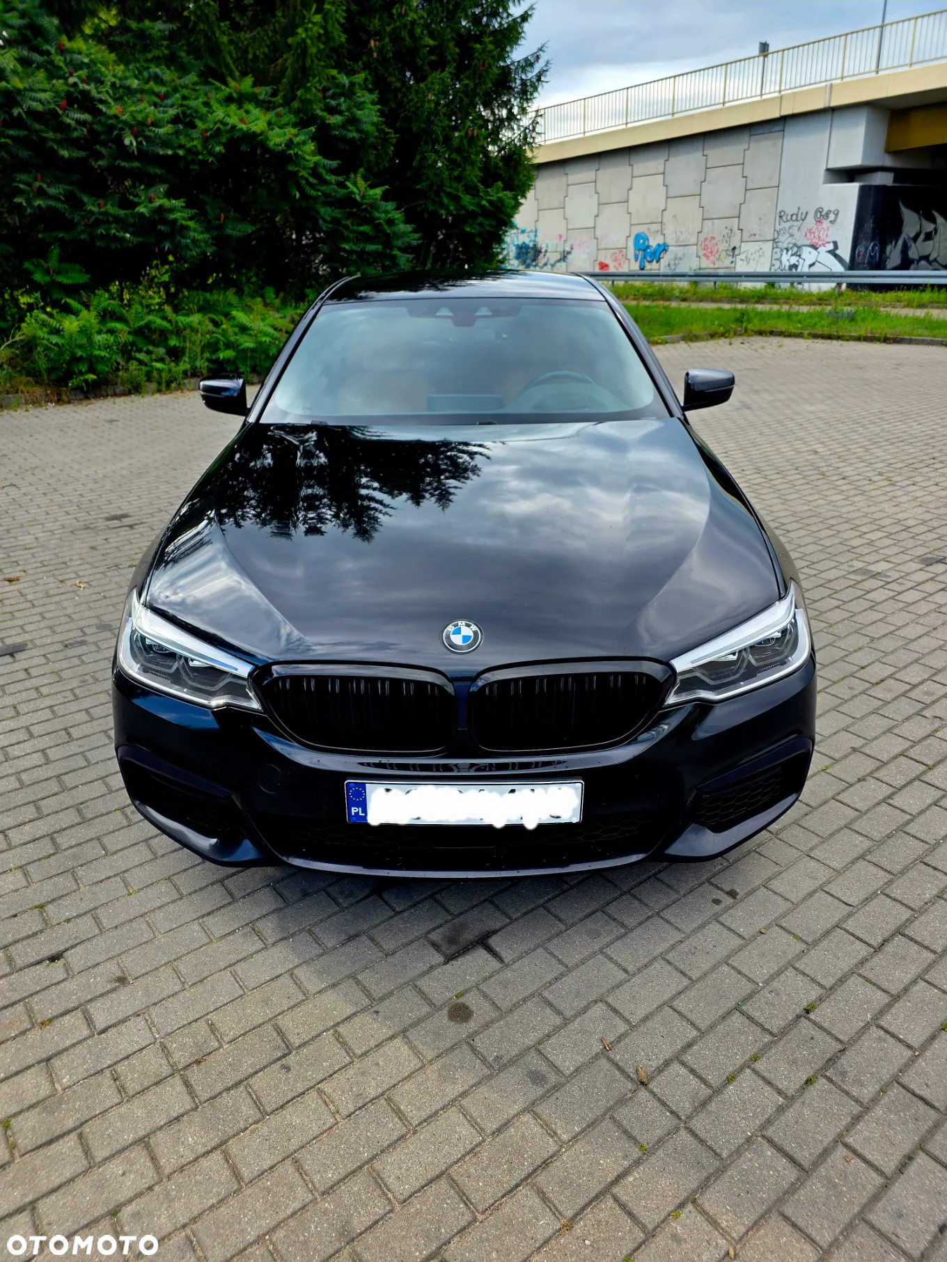 BMW Seria 5 530d xDrive M Sport sport - 23