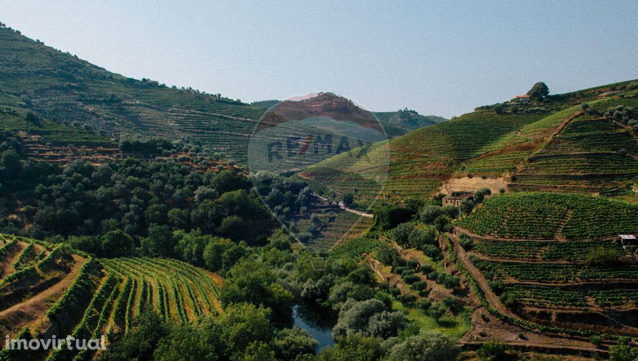 Hotel  para venda - Grande imagem: 4/29