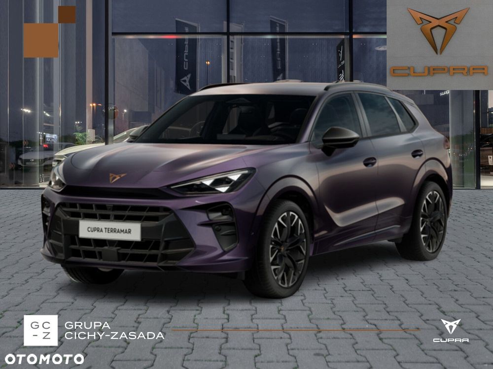 Cupra Terramar - 9